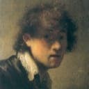 A picture of Johannes Vermeer